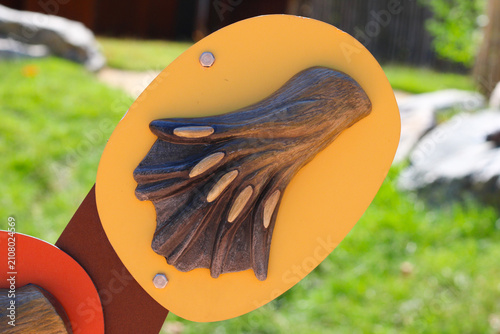 Fotografie Wooden Sculpture of an Animal Paw with Webbed Foot