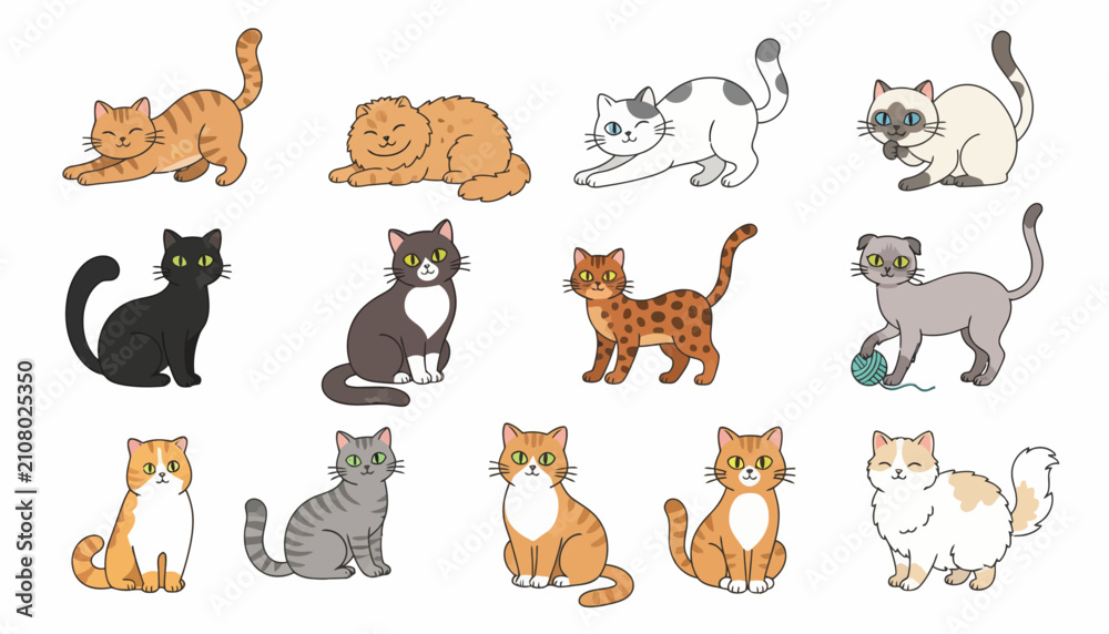Fototapeta premium Cats collection displays various breeds in different poses including sitting, stretching, and playing with a yarn ball.
