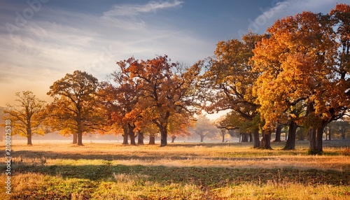 Autumn Lanscape With Oak Grove In September