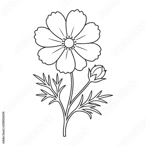 Premium Cosmos Flower Silhouette Vector Icon – Minimal Botanical Outline Design