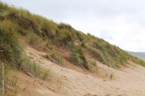 Grass and Slope of a Traditional Seaside Coastal Beach.