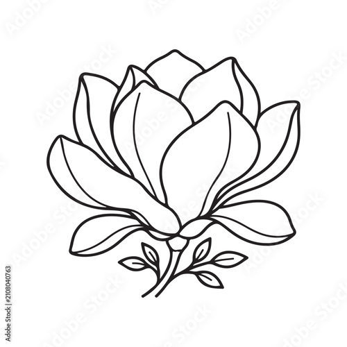 Premium Magnolia Flower Outline Vector Illustration Minimal Botanical Line Art Isolated on White
