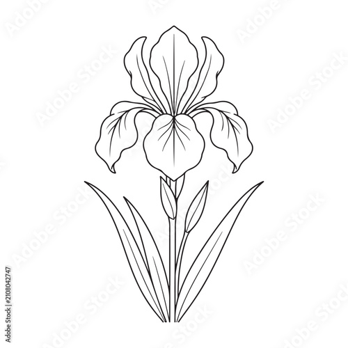 Premium Iris Flower Outline Icon – Elegant Flat Botanical Line Art Vector Illustration