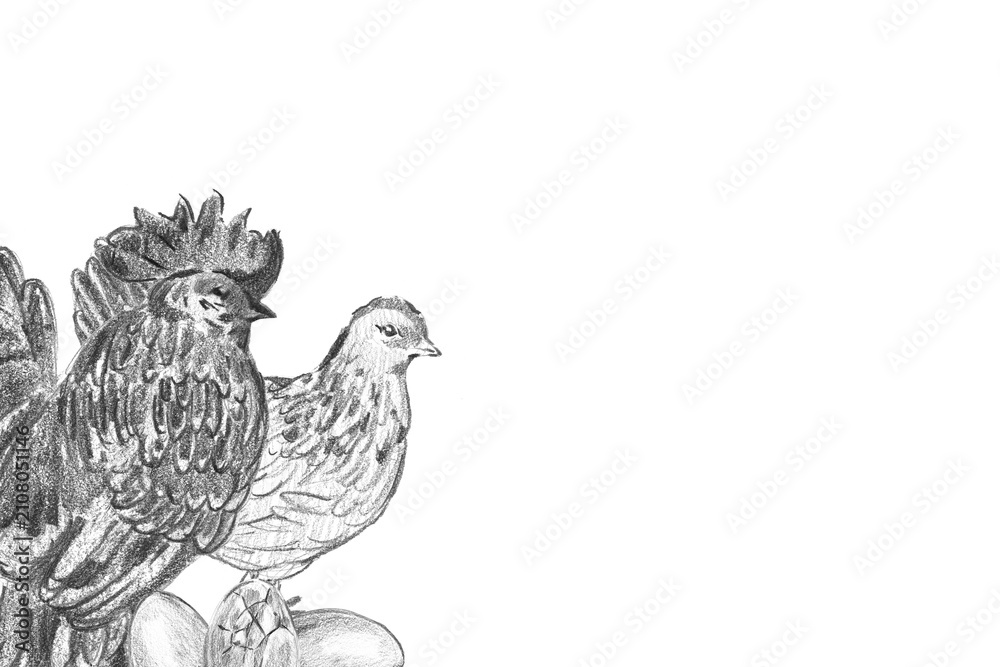 Obraz premium Pencil sketch banner with a rooster and a hen standing on three eggs and a large copy space on the right. Perfect for farmhouse kitchen wall art, country egg packaging, and rustic food branding.