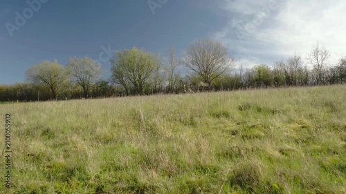 A field of tall green grass stretches toward sparse trees under a partly cloudy sky. Soft natural light creates a serene and open outdoor landscape.