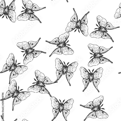 Billede på lærred seamless pattern metamorphosis night moth hand drawn