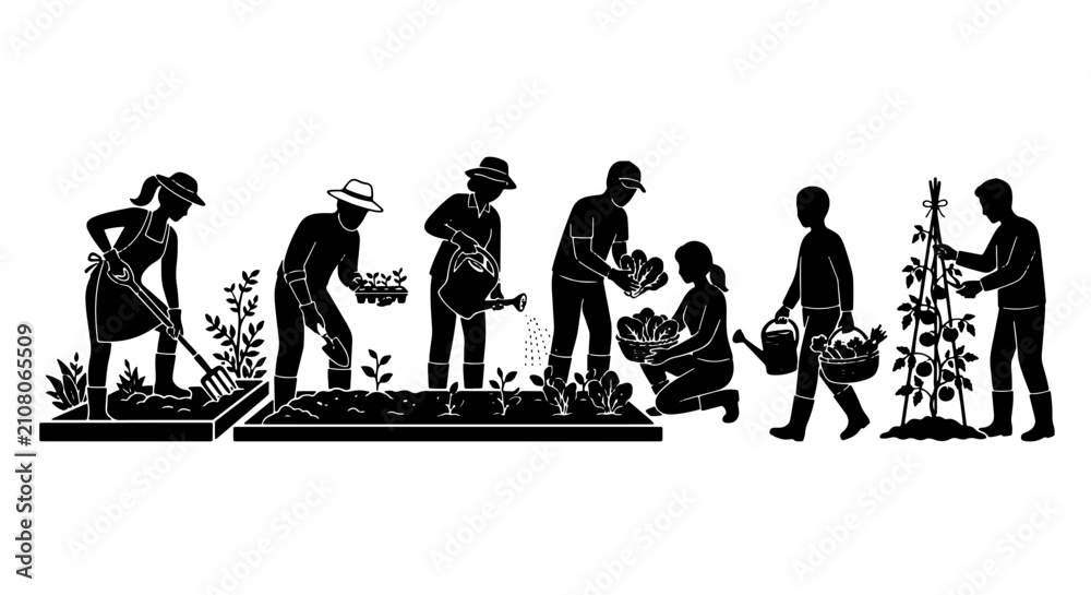 Obraz premium Gardening Silhouette Set, Diverse People Planting and Watering Vegetables, Organic Farming Community Vector Icons