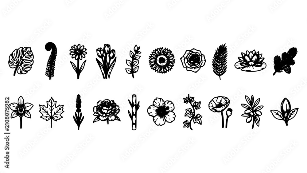 Fototapeta premium Flowers and Plants in Black and White Botanical Illustrations Featuring Flower, Plant, Illustration with Nature and Leaf Elements