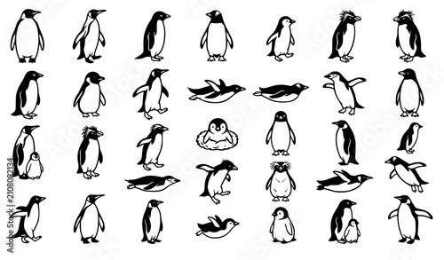 Fotografie 30 Black and White Penguin Outline Vector Collection Isolated on White Backgroun