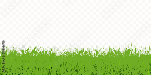 фотографія Green grass blades against a transparent background vector illustration