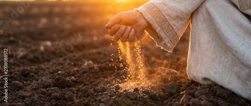 Sower's hand planting golden grain seeds into fertile soil during sunset. Biblical concept of the Parable of the Sower.