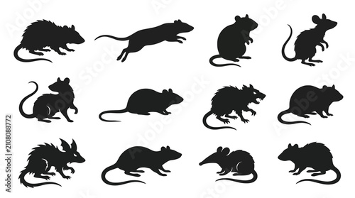 Schilderij op canvas Set of rat silhouettes, black vector icons of rodents in different poses