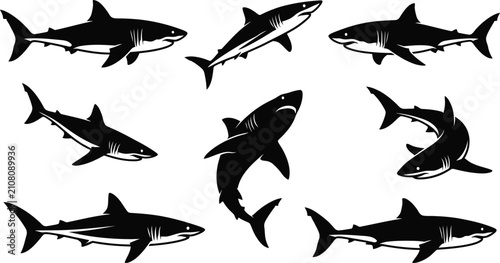 Obraz na płótnie Shark silhouette vector collection