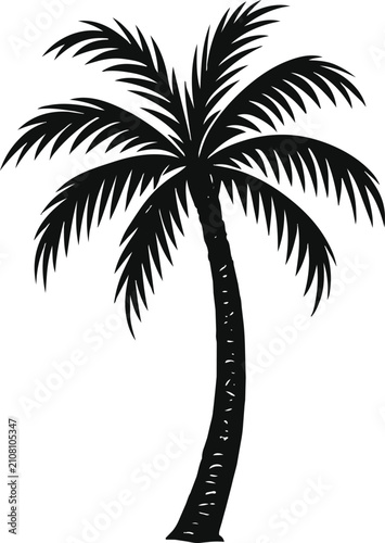  palm tree outline silhouette with graceful tropical leaves and textured trunk