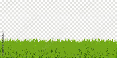 Quadro su tela Green grass blades on a transparent background vector illustration