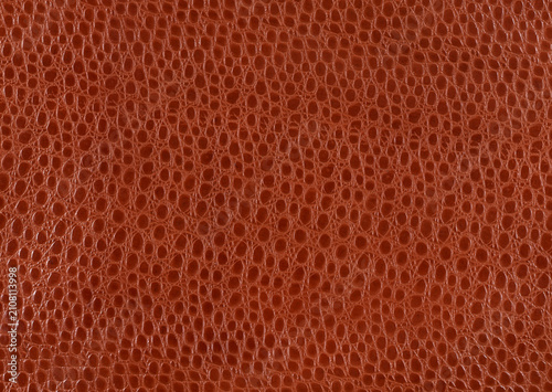 Brown Ostrich Leather Texture Macro Background