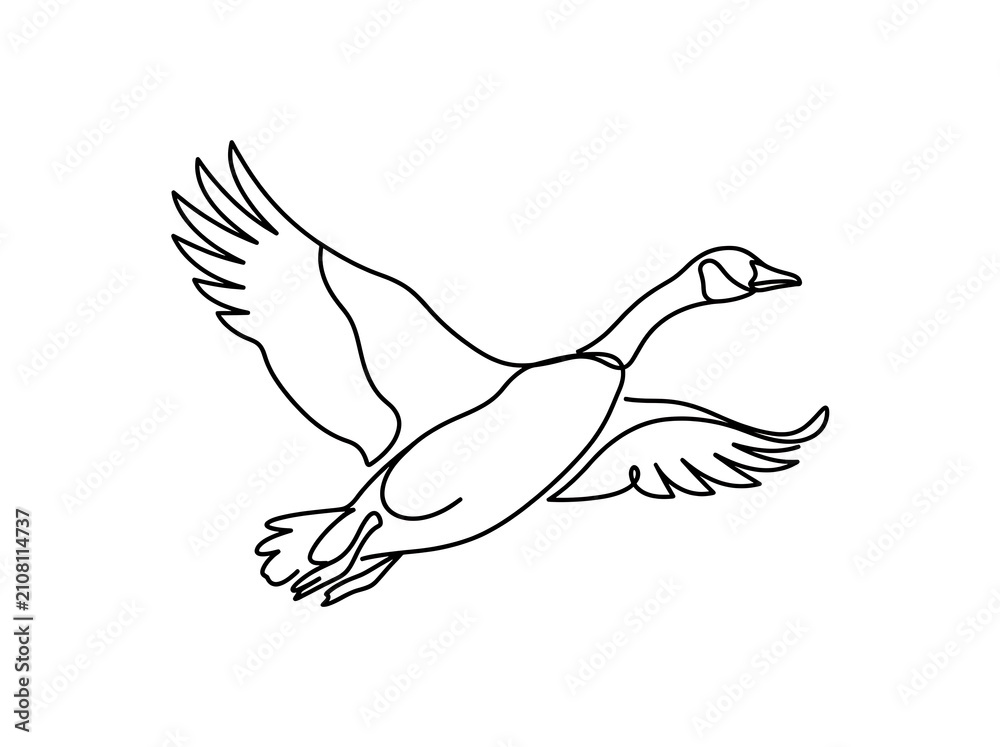 Fototapeta premium Single line drawing of a goose in flight