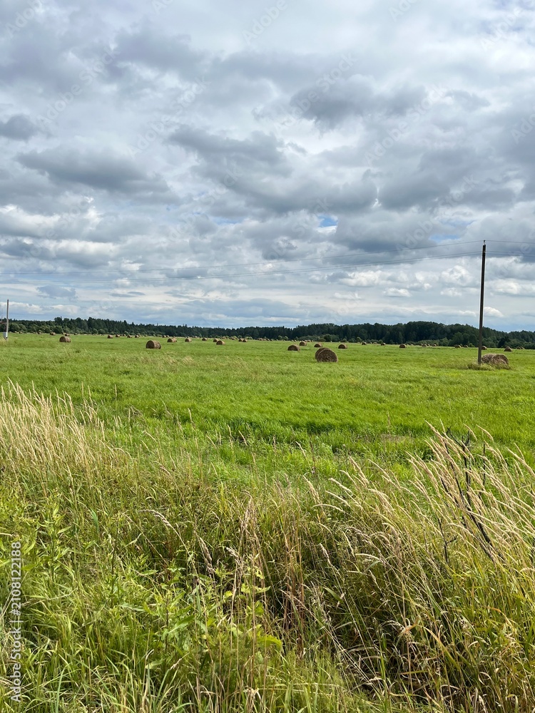Фотография Haystacks in field after haymaking