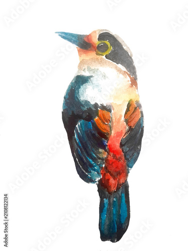 bird