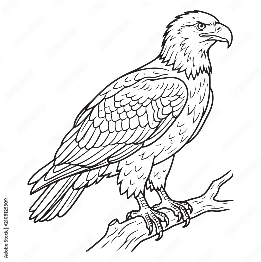 Fototapeta premium Majestic eagle on branch coloring page detailed line art vector illustration of powerful bird prey in natural habitat for kids and adults creative hobby and wildlife education activities.