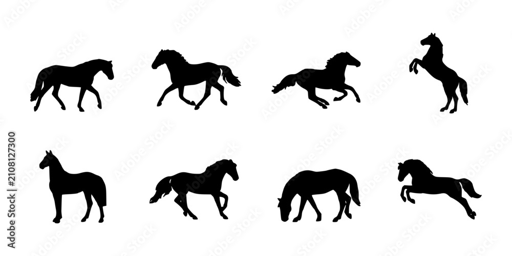 Obraz premium Horses in Various Poses and Actions, Black Silhouettes on White Background Featuring Horse, Silhouette, Animal with Equine