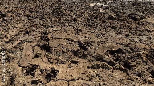 Dry landscape in tropical arid ecosystem in Yala National Park and mud lake due to prevailing drought impact of climate change