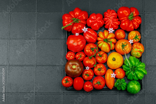 Принти на полотні Assorted homegrown heirloom tomatoes with small flowers on a dark textured squar