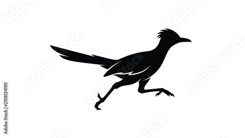 Silhouette of a roadrunner bird in flight pose.