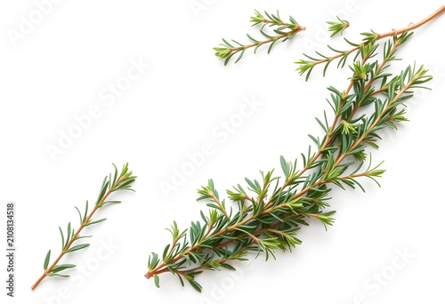 Fresh rosemary sprigs and l...