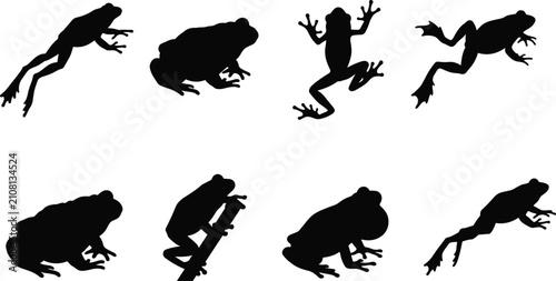 Set of Frog and Toad Silhouettes Isolated on White Background Vector Illustration