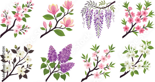 Set of Blooming Tree Branches and Spring Flowers Isolated on White Background Vector Illustration