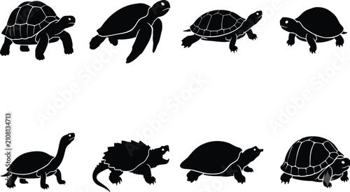 Set of Turtle and Tortoise Silhouettes Isolated on White Background Vector Illustration