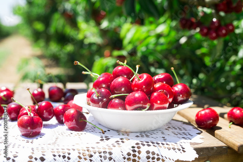 Quadro su tela Ripe juicy cherry berry in a white bowl on a lace napkin on the table