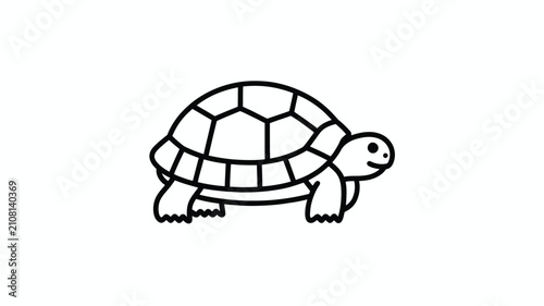 Photography Cute turtle vector line icon illustration for wildlife fauna animal nature ocean