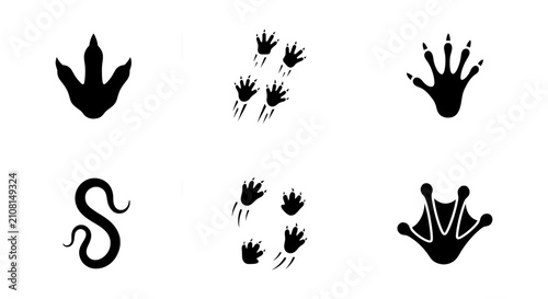 Quadro su tela Animal Footprints and Tracks Collection: Dinosaur, Mammal, Reptile, Amphibian Ic