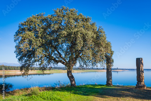 Canvas Print Valdecañas Reservoir (Extremadura, Spain)