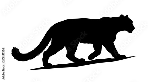 фотографія Snow Leopard Silhouette On White Background A Wildlife Illustration
