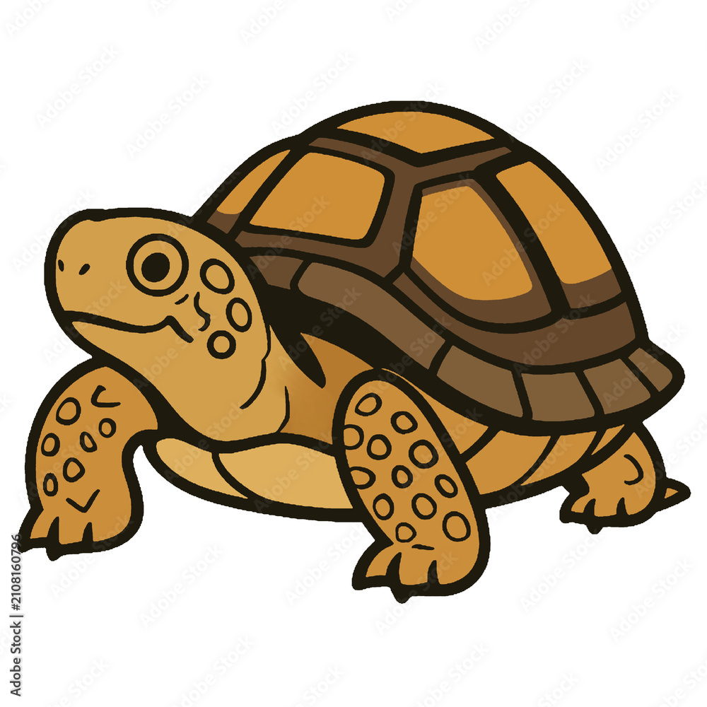 Fototapeta premium Small brown turtle cartoon illustration