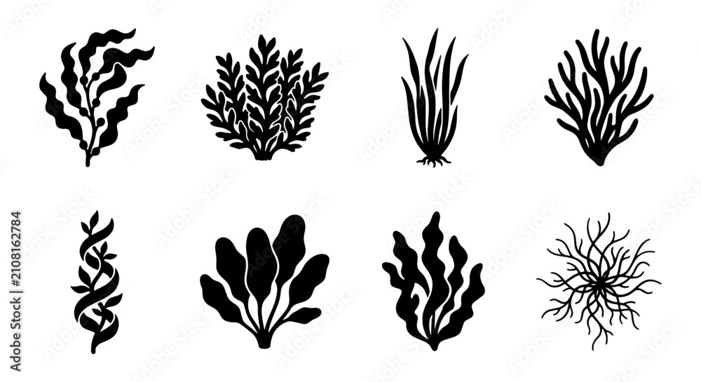 Naklejka premium Set of 8 Black Seaweed Icons, Marine Algae Vector Illustrations, Underwater Plant Silhouettes for Oceanographic and Aquatic Design
