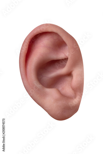 Close-up of a human ear isolated on transparent background, showing natural skin texture and anatomy, perfect for medical, health, and communication concepts.