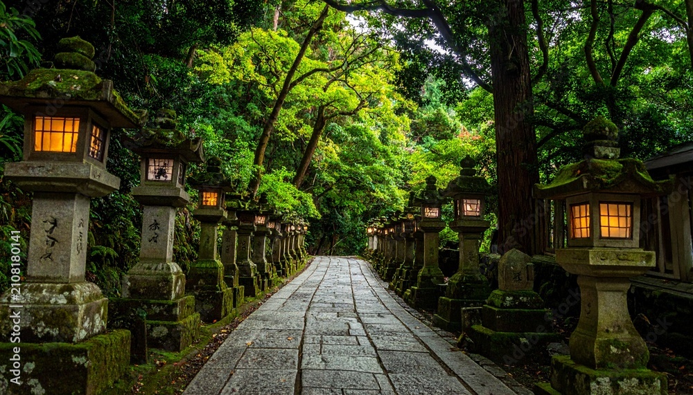 Obraz premium Serene garden pathway lined with blooming trees and historic house.