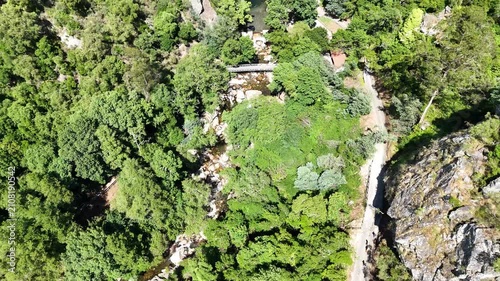 Drone Flight Through a Canyon Above a Forest River in Portugal