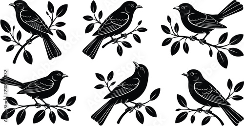 Black Bird Silhouette Collection on Tree Branches Vector Illustration Featuring Songbirds, Nature, Wildlife, Decorative, Isolated, Elegant Design Set