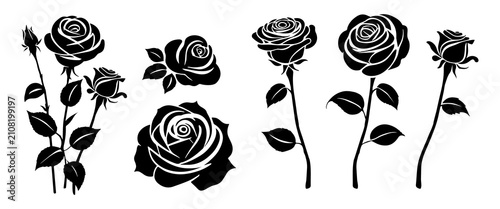 Black roses flowers silhouette set vector drawing.Floral beautiful wedding element
