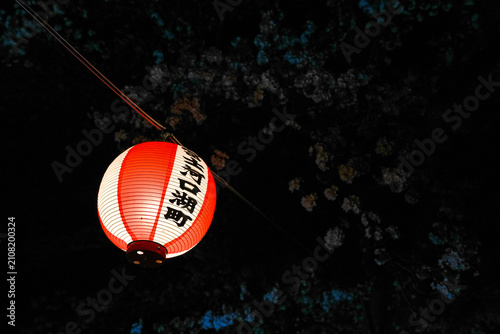 Red and white Japanese paper lantern (chochin) illuminated at night under cherry blossom trees during a festival in Kawaguchiko, Japan