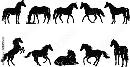 Photos Collection of horse silhouettes in standing, grazing, running, rearing, and rest