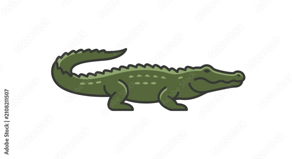 Fototapeta premium Green Alligator Illustration on White Background - Cartoon Style Reptile