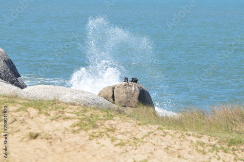Obraz na płótnie punta del diablo - uruguai