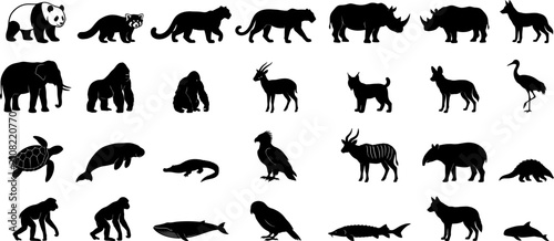 Photography Black silhouette icons of various wild animals and exotic wildlife
