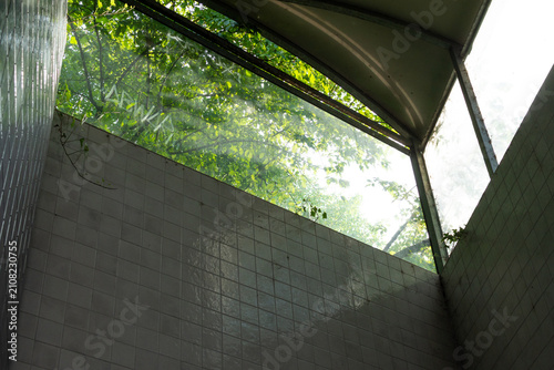 Konstfotografi Verrière abandonnée envahie par la végétation dans un bâtiment délabré